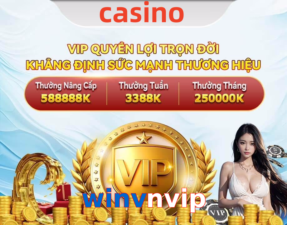 winvnvip