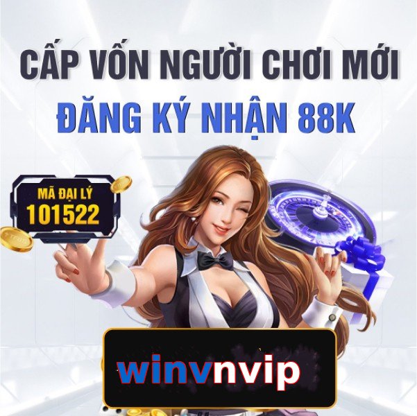 winvnvip