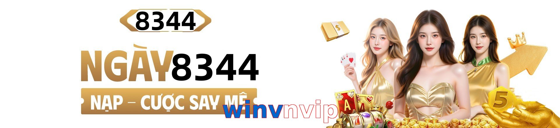 winvnvip