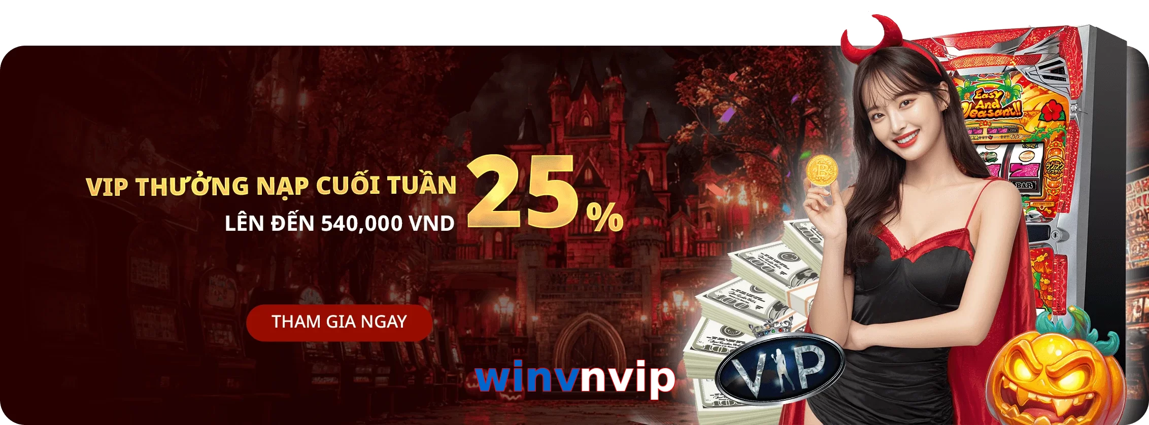 winvnvip