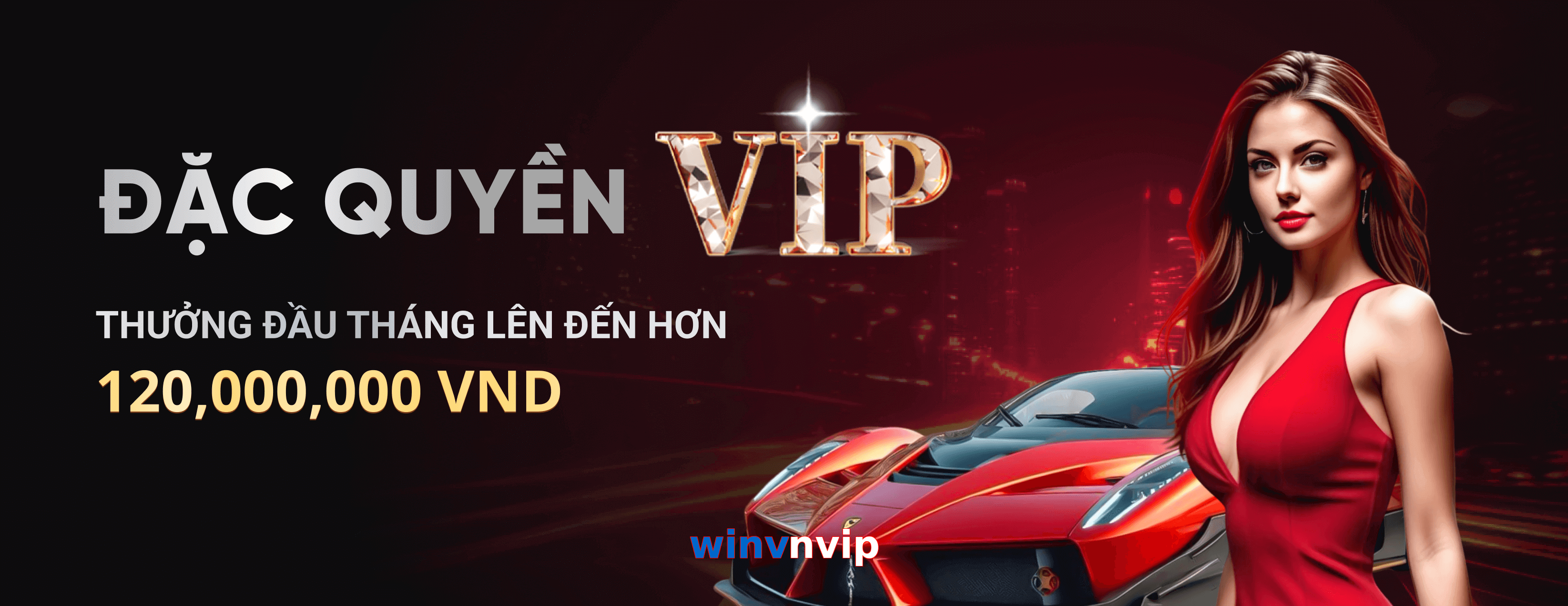 winvnvip