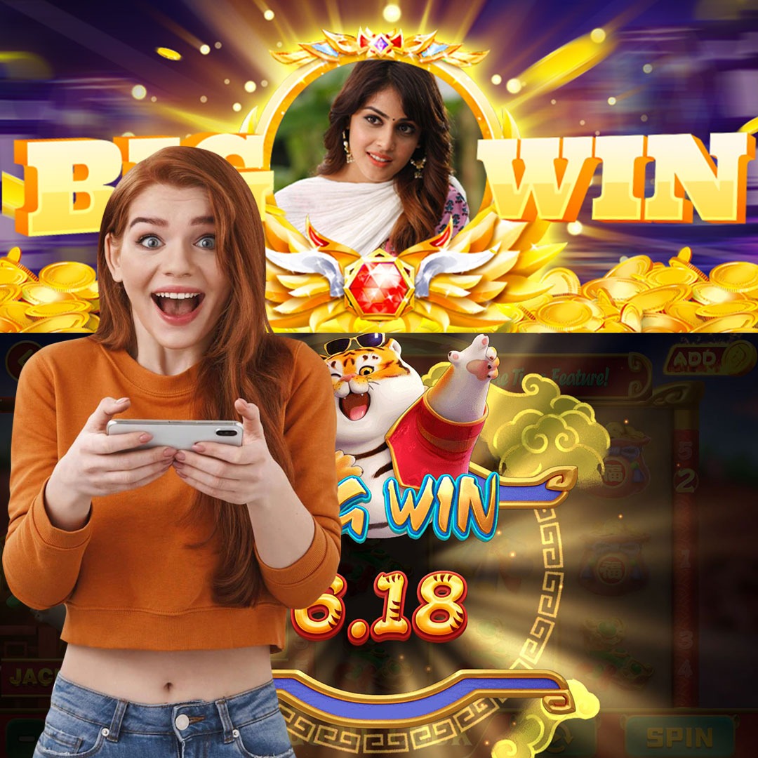 winvnvip
