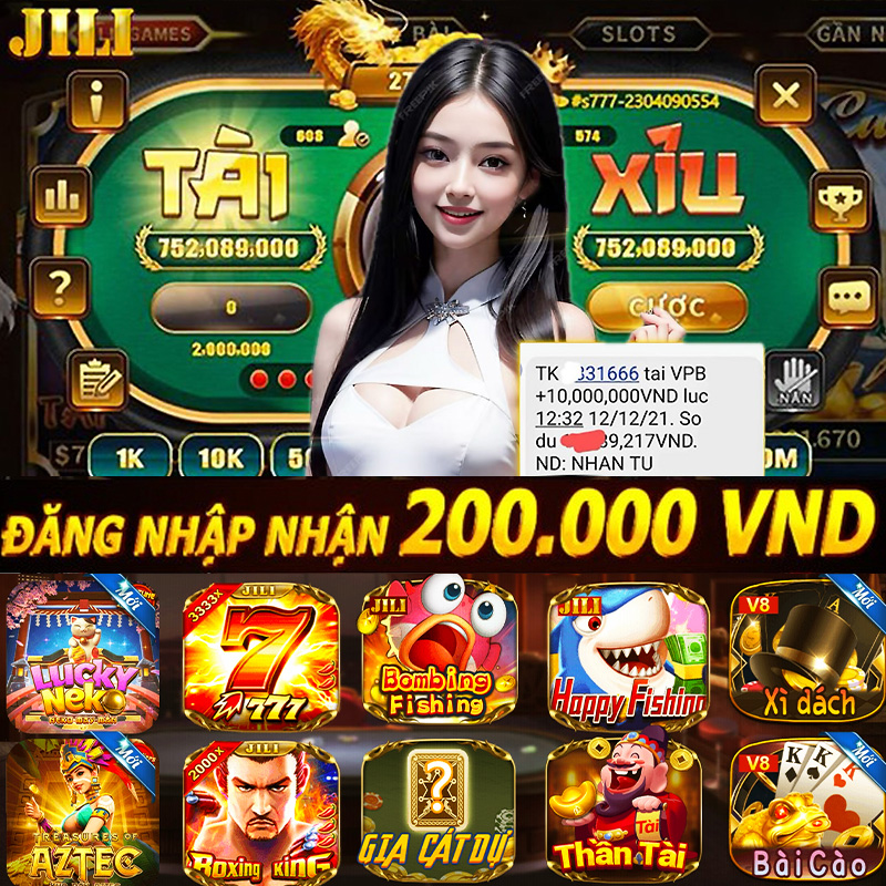 winvnvip