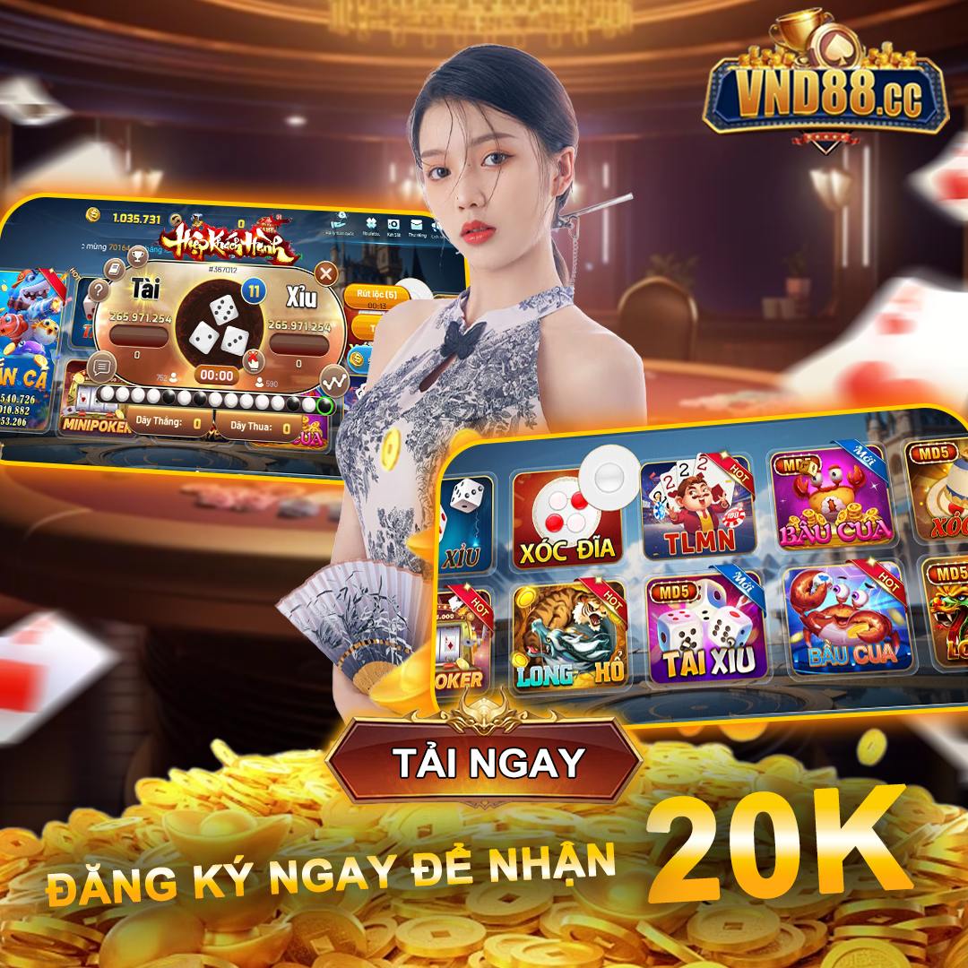 winvnvip