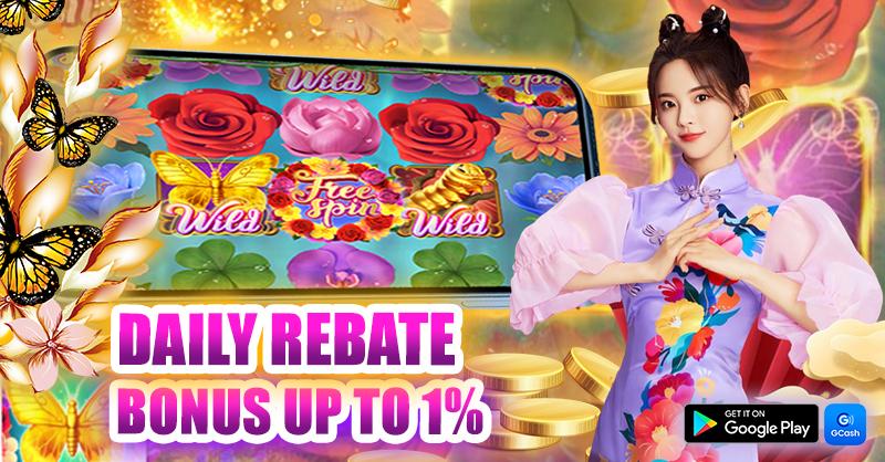 winvnvip