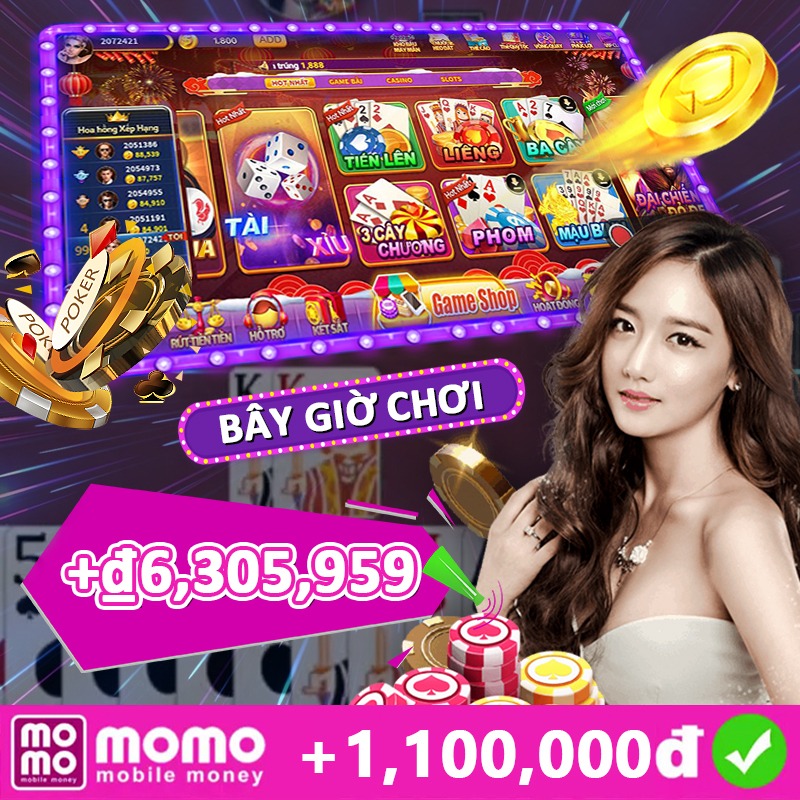 winvnvip