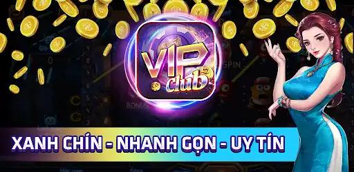 winvnvip