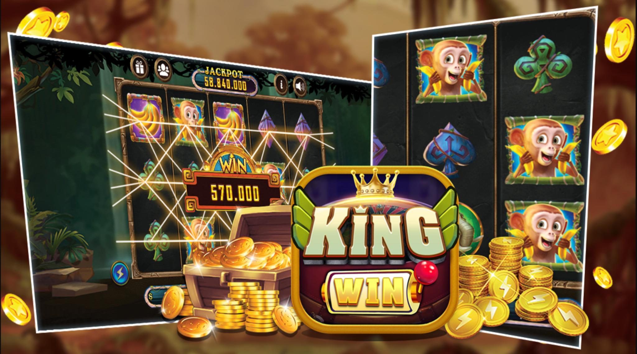 winvnvip